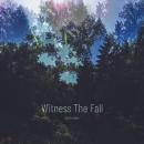 WITNESS THE FALL - Reflections - LP / Limited Edition
